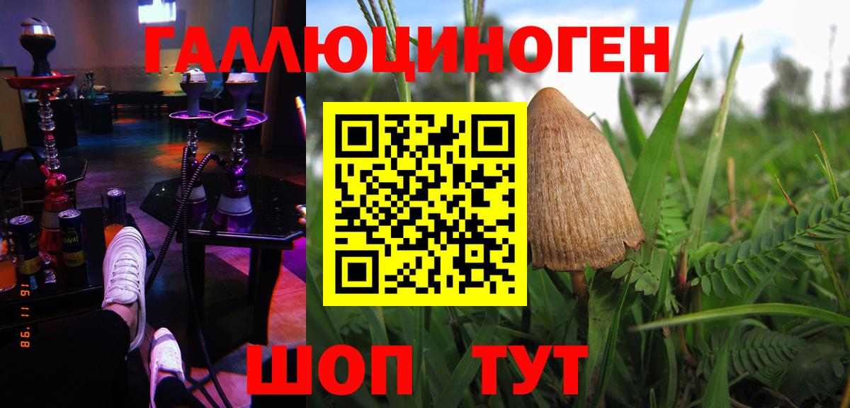 Псилоцибиновые грибы мицелий Михайловка